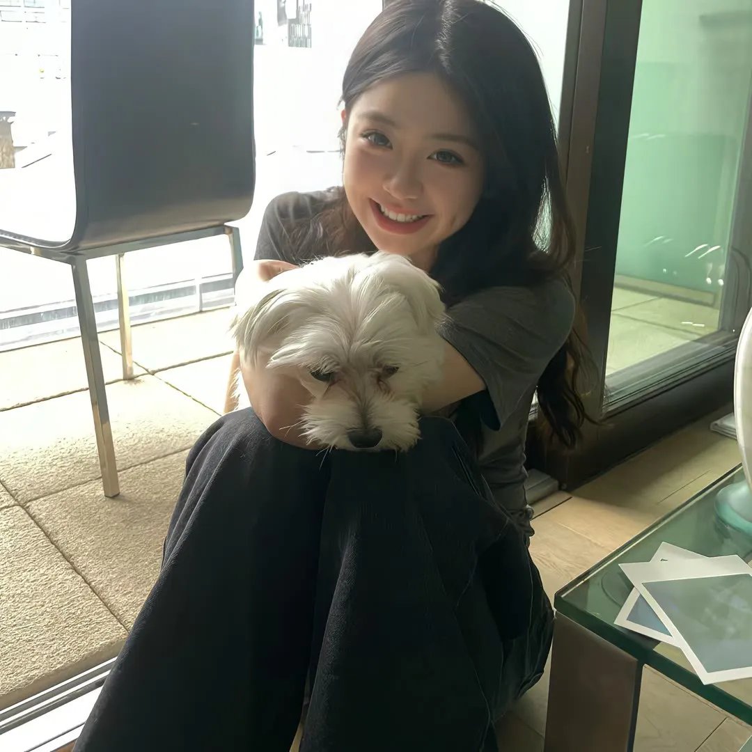 小乌龟福兰克林